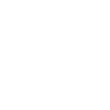 Electric Gate Icon